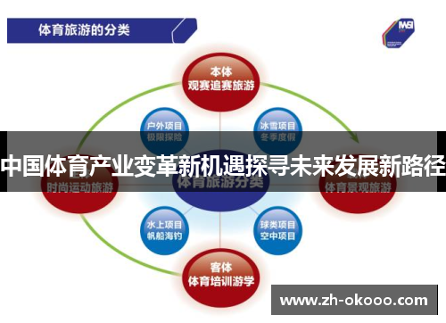 中国体育产业变革新机遇探寻未来发展新路径